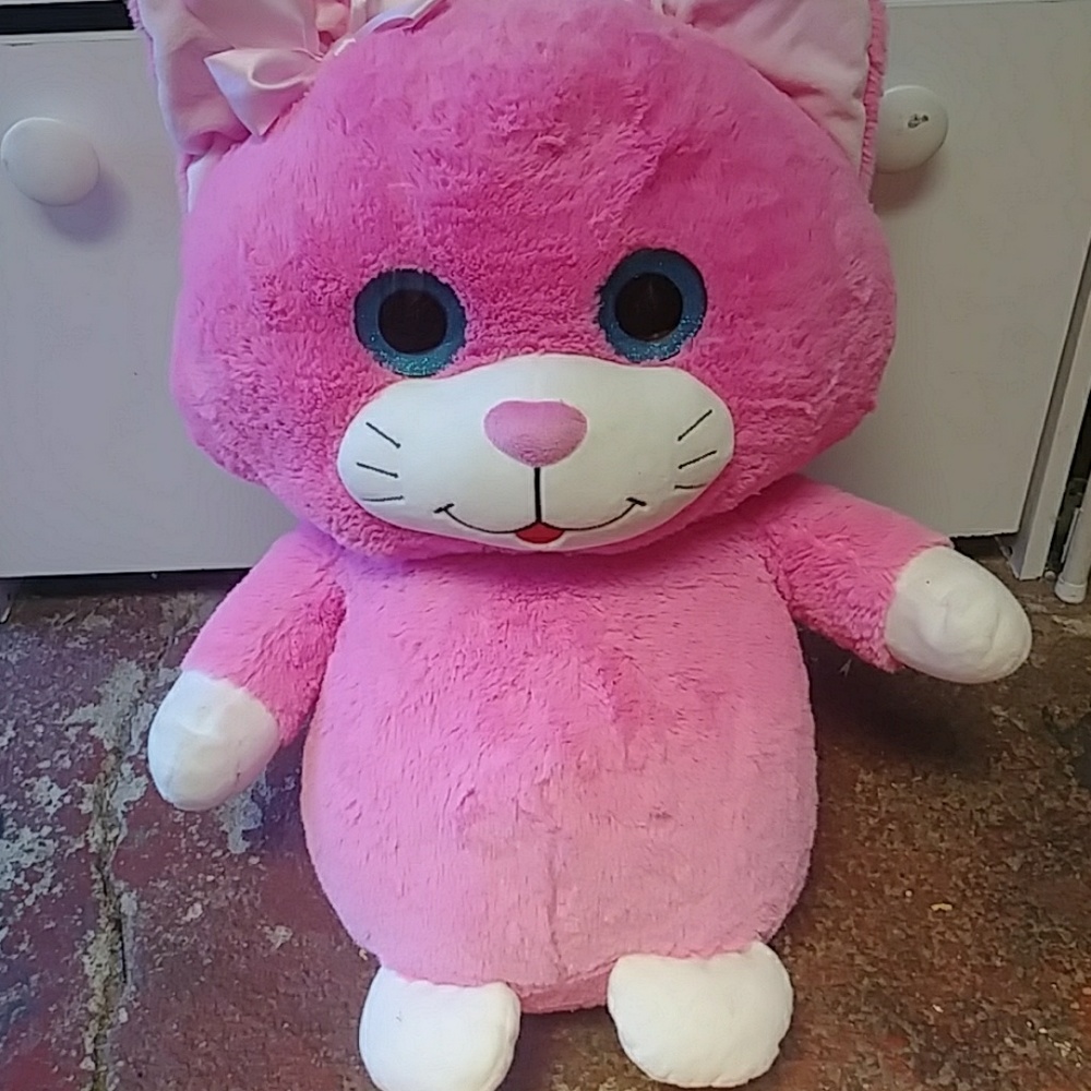 Pink cat